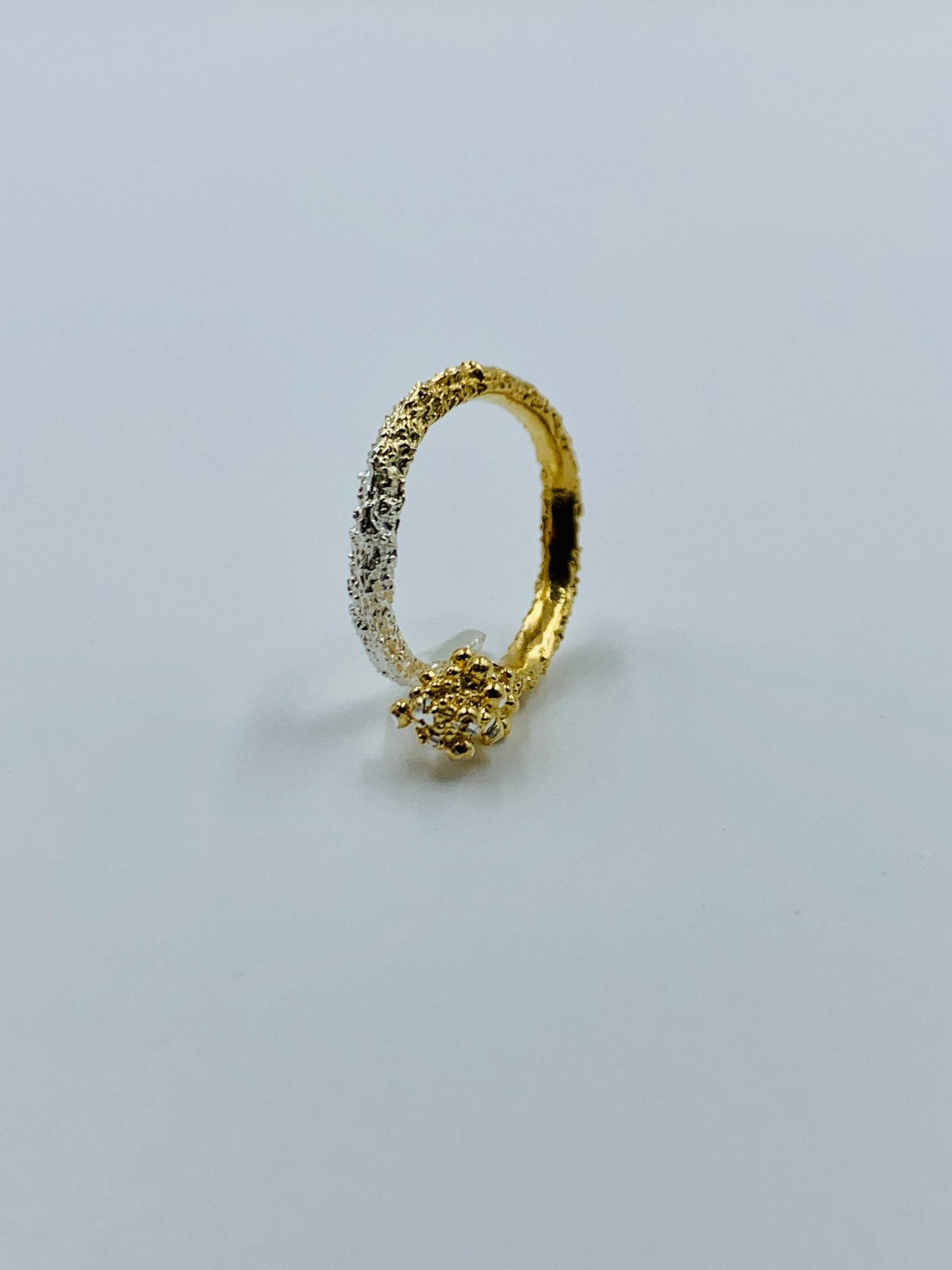 CLARI Ring - Maison Numéro 12